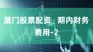 厦门股票配资   期内财务费用-2