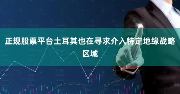 正规股票平台土耳其也在寻求介入特定地缘战略区域