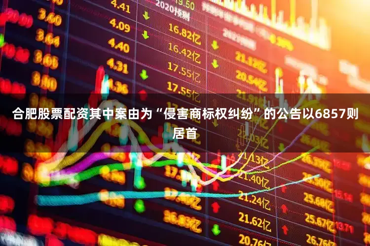 合肥股票配资其中案由为“侵害商标权纠纷”的公告以6857则居首