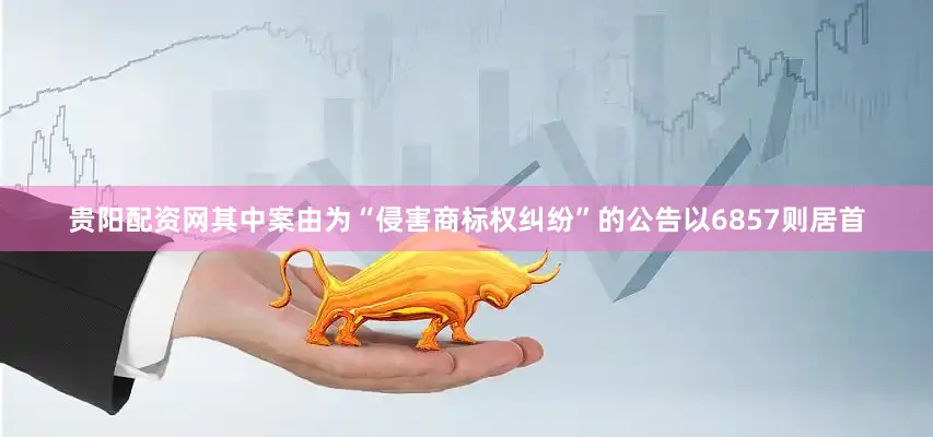 贵阳配资网其中案由为“侵害商标权纠纷”的公告以6857则居首