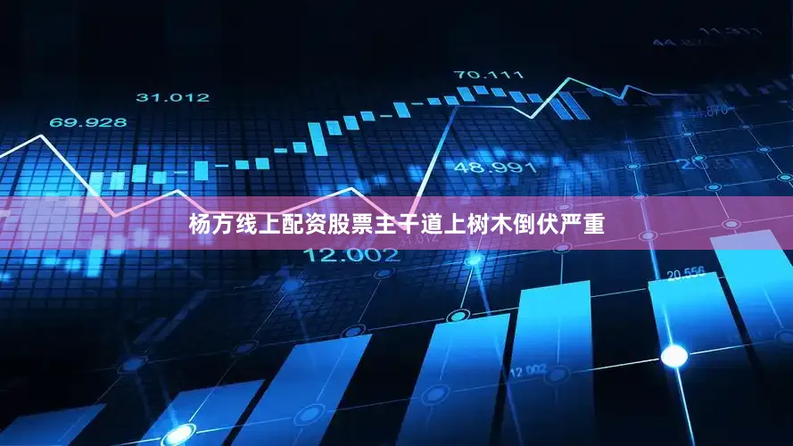 杨方线上配资股票主干道上树木倒伏严重