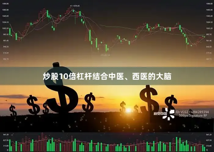 炒股10倍杠杆结合中医、西医的大脑